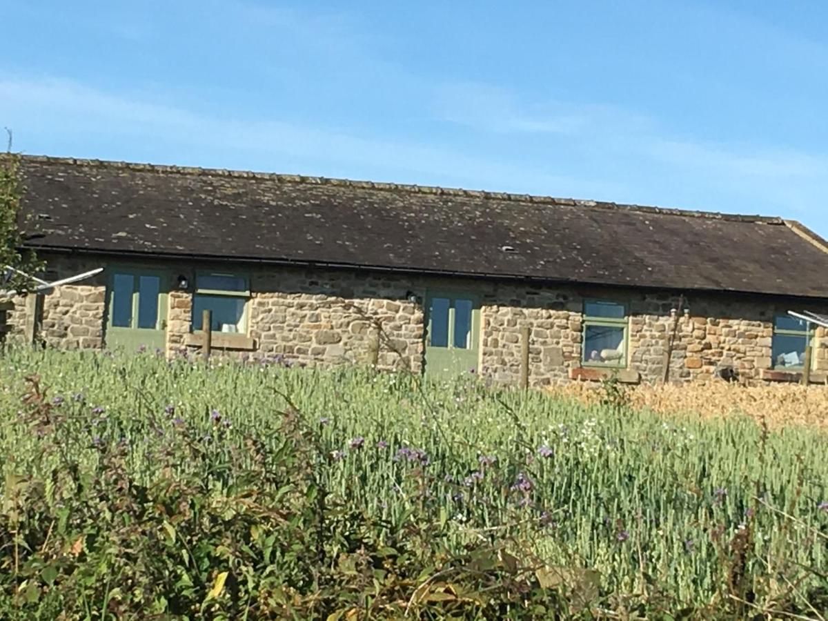 Riding Farm Cottages Gateshead Eksteriør bilde